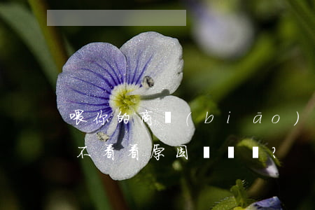 喂，你的商標(biāo)注冊失敗了……還不看看原因？